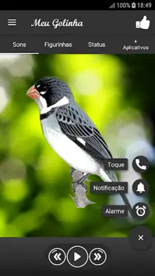 Song of Meu Golinha android App screenshot 2
